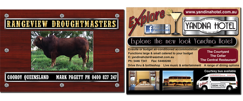 best graphic designer darwin lukerative banner design